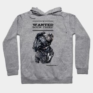 Cockapoo / Doodle Dog Sock Thief Hoodie